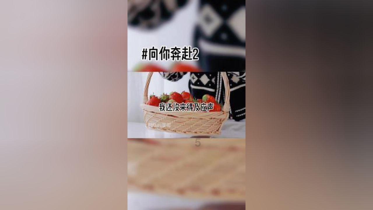 hahabetcom官网星辰大海